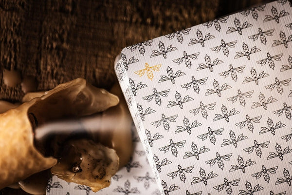 download - 2025-10-23T061740.723